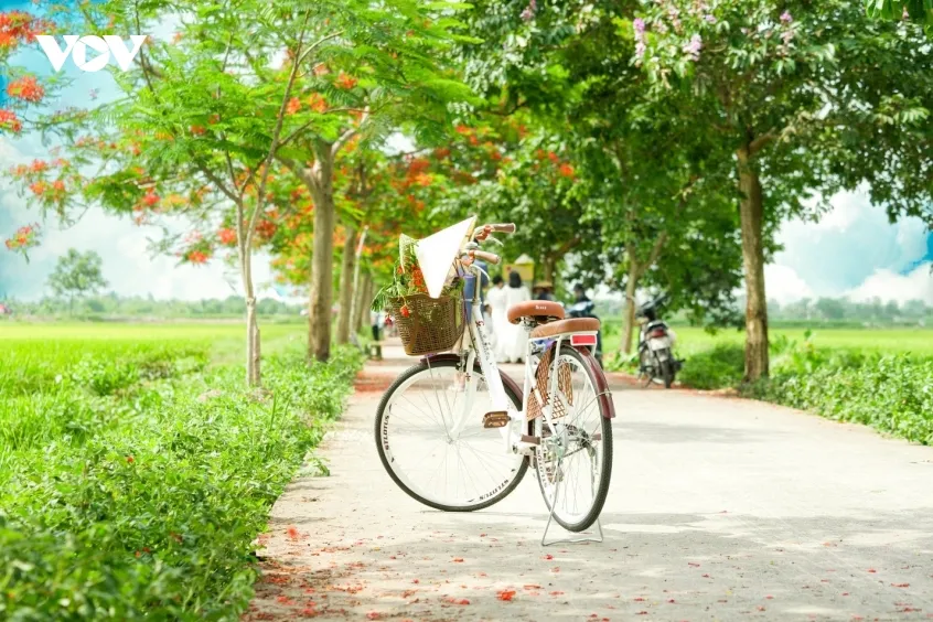 ruc ro duong hoa phuong o bac ninh, thu hut dong dao du khach den check in hinh anh 4