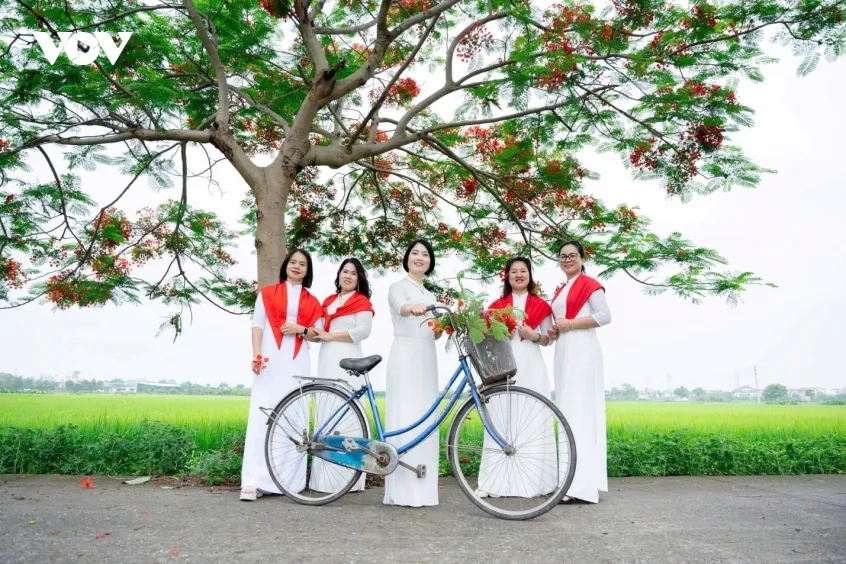 ruc ro duong hoa phuong o bac ninh, thu hut dong dao du khach den check in hinh anh 8