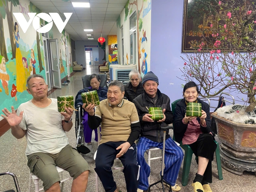 dan so gia hoa nhanh, y te viet nam dung truoc ap luc cham soc nguoi cao tuoi hinh anh 3