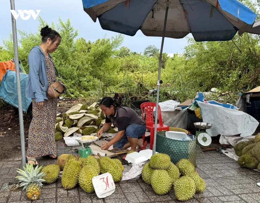 nong dan trong sau rieng mang noi sau chung hinh anh 3