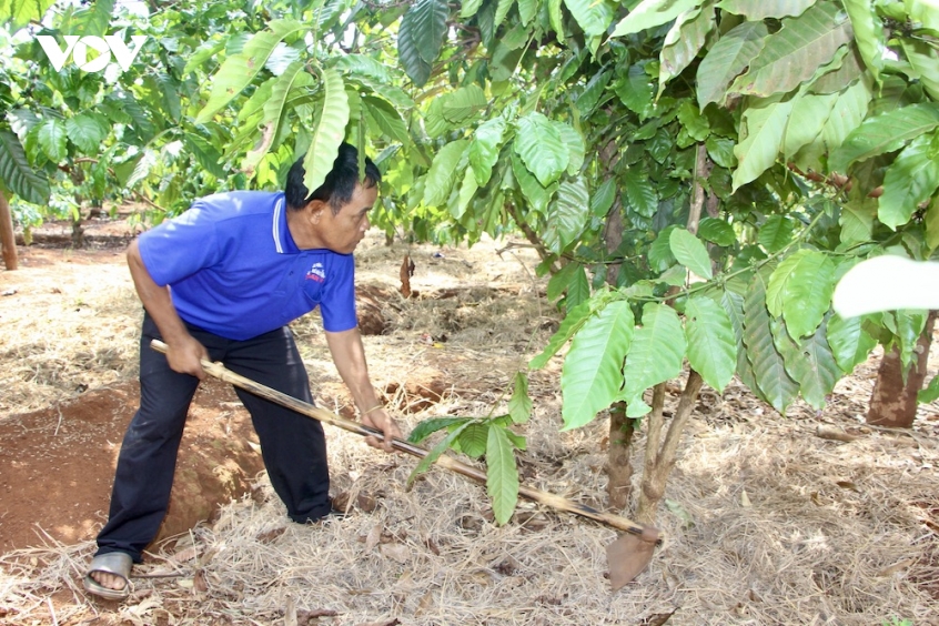 giu binh yen buon lang tu the tran long dan hinh anh 1