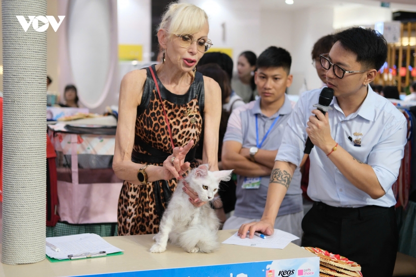 meo tram trieu dong thi nhan sac tranh ngoi hoa hau meo quoc te o ha noi hinh anh 2