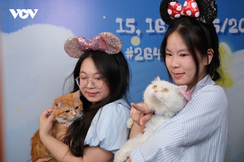 meo tram trieu dong thi nhan sac tranh ngoi hoa hau meo quoc te o ha noi hinh anh 1