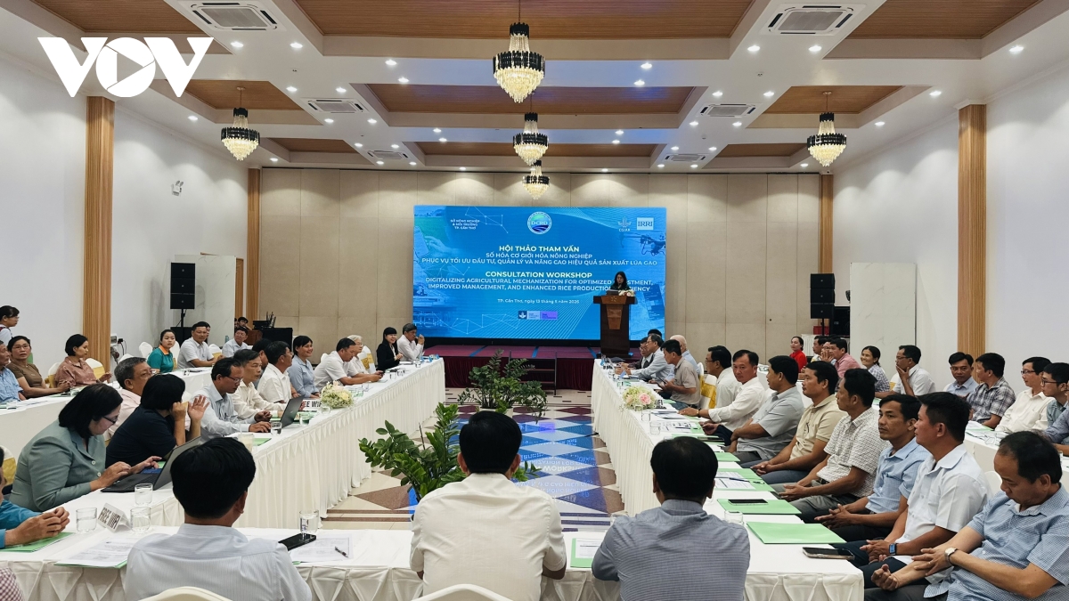 so hoa co gioi hoa nong nghiep, nang cao hieu qua san xuat lua gao vung Dbscl hinh anh 2