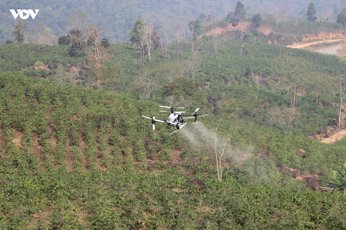 Ung dung uav mo ra tuong lai moi cho nong nghiep vung cao Dien bien hinh anh 1