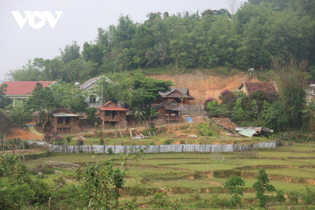 Dang vien noi la lam, tao chuyen bien o mang Den hinh anh 2