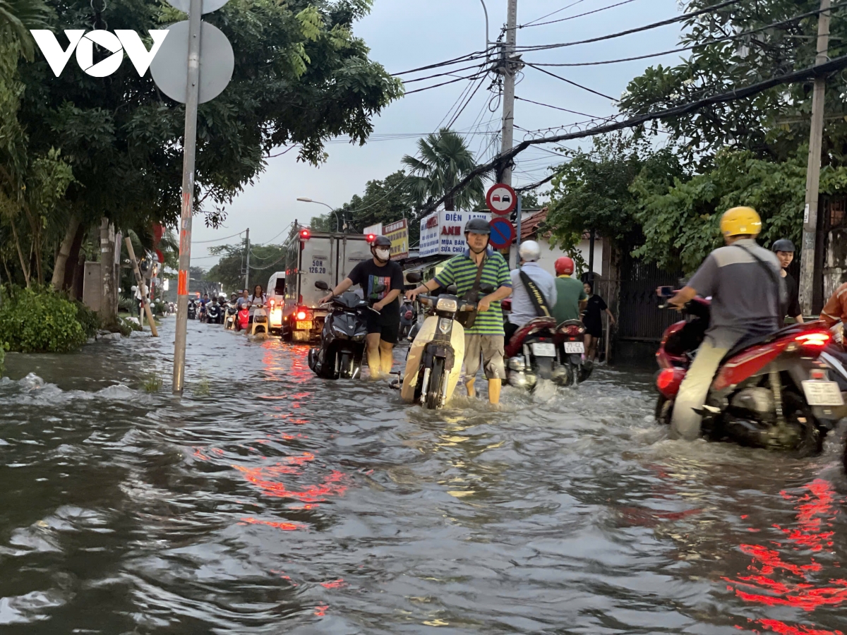 tp.hcm thong tin nguyen nhan khien khu vuc thu Duc ngap khi mua hinh anh 1