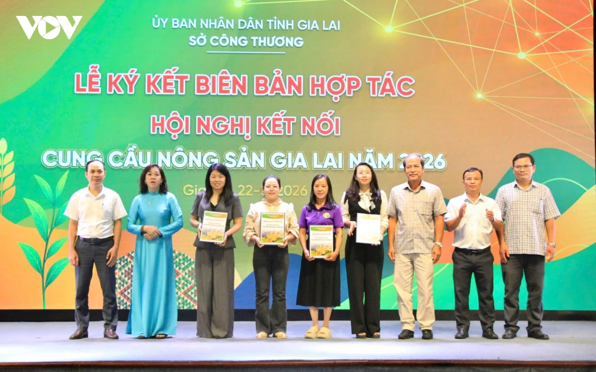 gia lai thuc day ket noi nong san voi chuoi ban le hien dai hinh anh 1