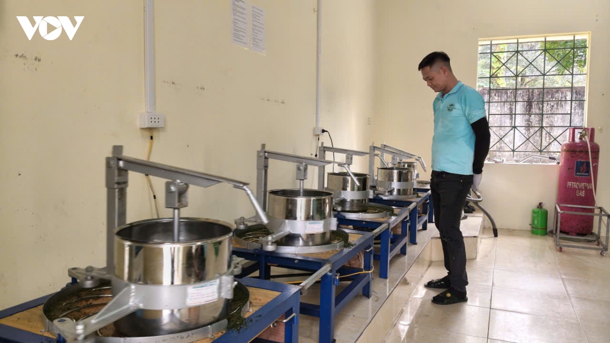 xanh hoa vung che, nang tam thuong hieu tra thai nguyen hinh anh 2