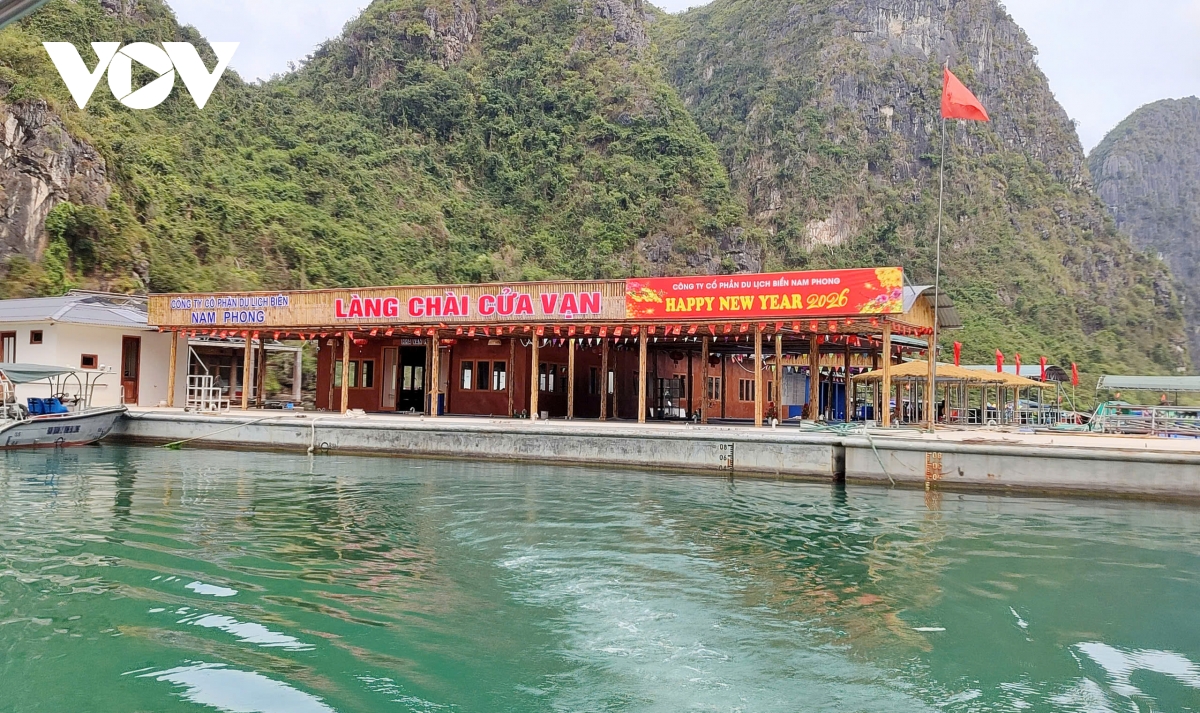 ngan vang tieng hat giao duyen giua long di san vinh ha long hinh anh 1