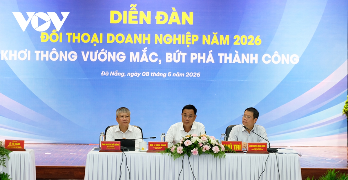 Da nang cam ket khong ne tranh, khong de ho so doanh nghiep ton dong hinh anh 4