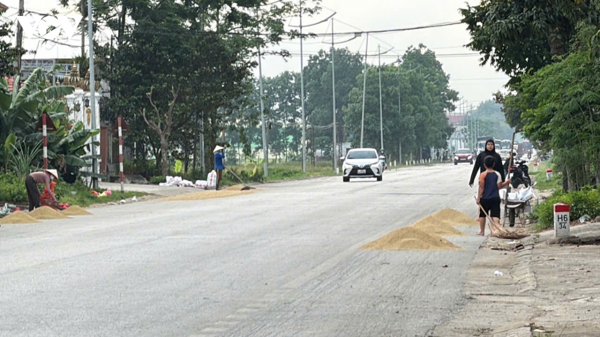 thanh hoa chan chinh tinh trang phoi lua tren duong, ngan nguy co tngt hinh anh 5