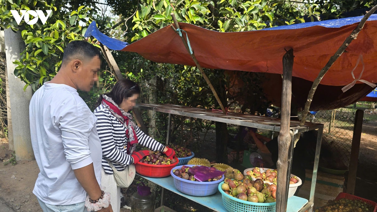  vuong quoc mang cut lai thieu o tp.hcm truoc con loc quy hoach treo va o nhiem hinh anh 6