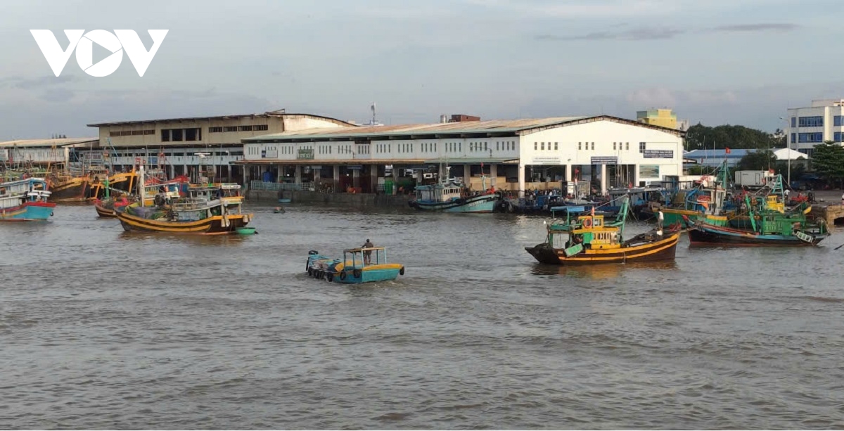 ngu dan lam Dong so hoa cac thu tuc tai cang hinh anh 1