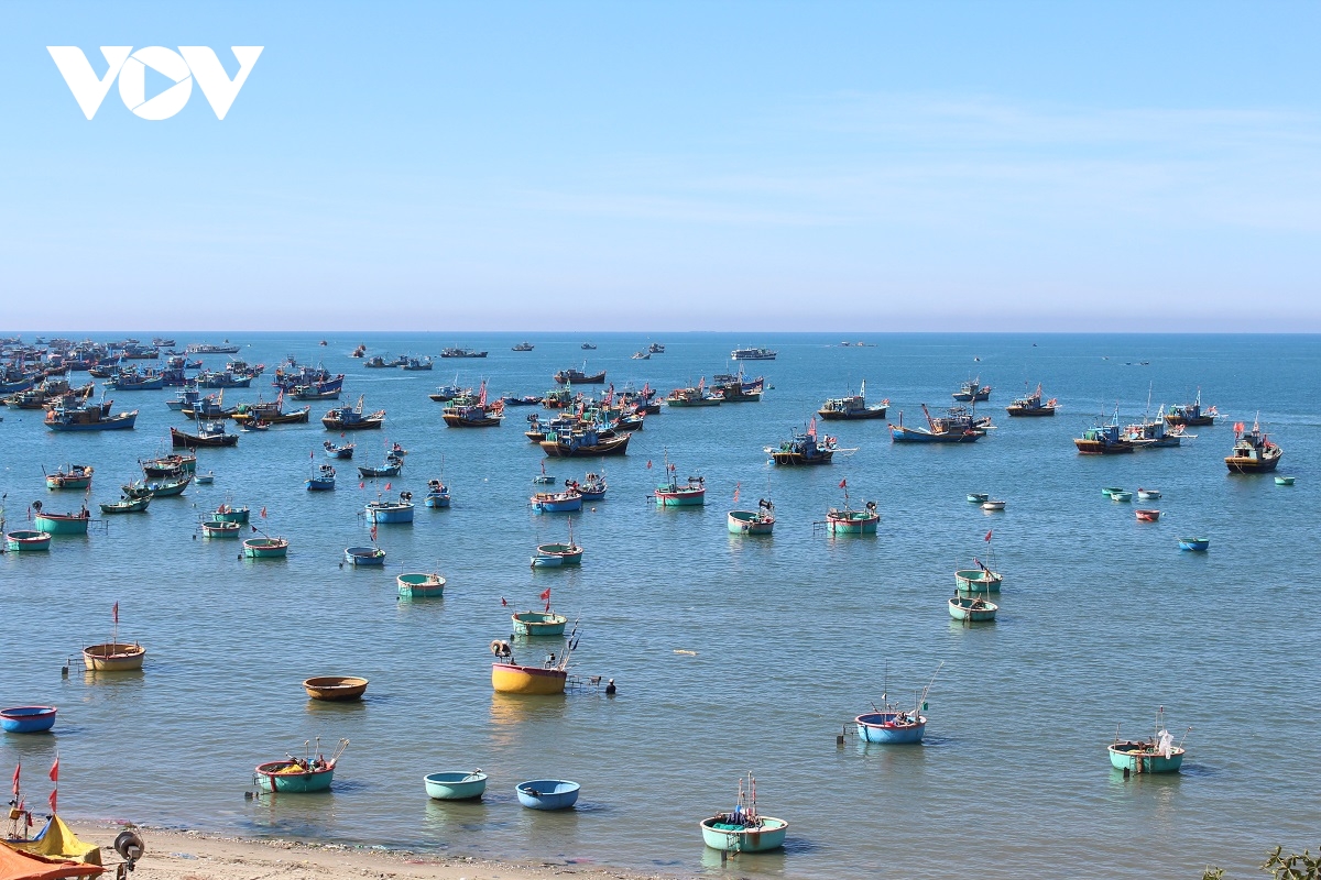 mui ne san sang don van hoi moi sau khi khoi cong san bay phan thiet hinh anh 3
