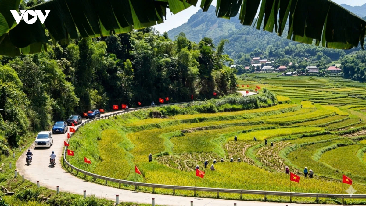 du khach dam minh giua ban lang pu luong binh yen mua lua chin hinh anh 1