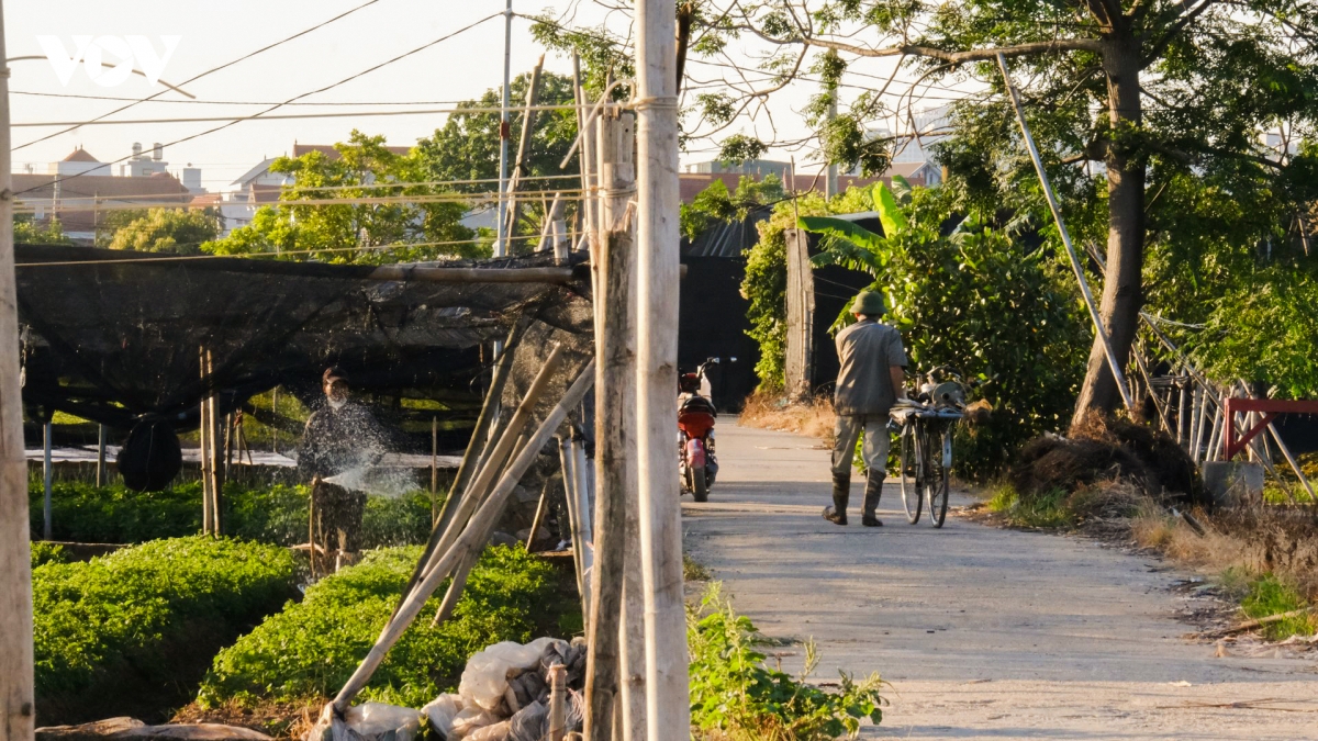 tranh cai nang nhu thieu nhu dot, nong dan ha noi ra dong tu som tinh mo hinh anh 10