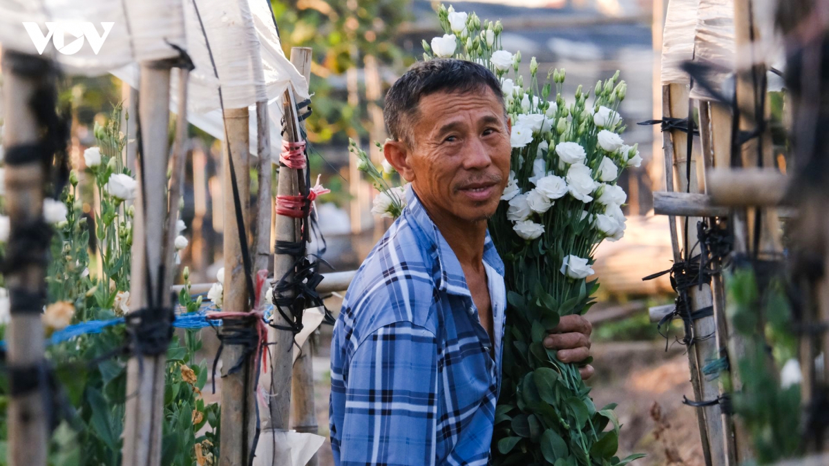 tranh cai nang nhu thieu nhu dot, nong dan ha noi ra dong tu som tinh mo hinh anh 8