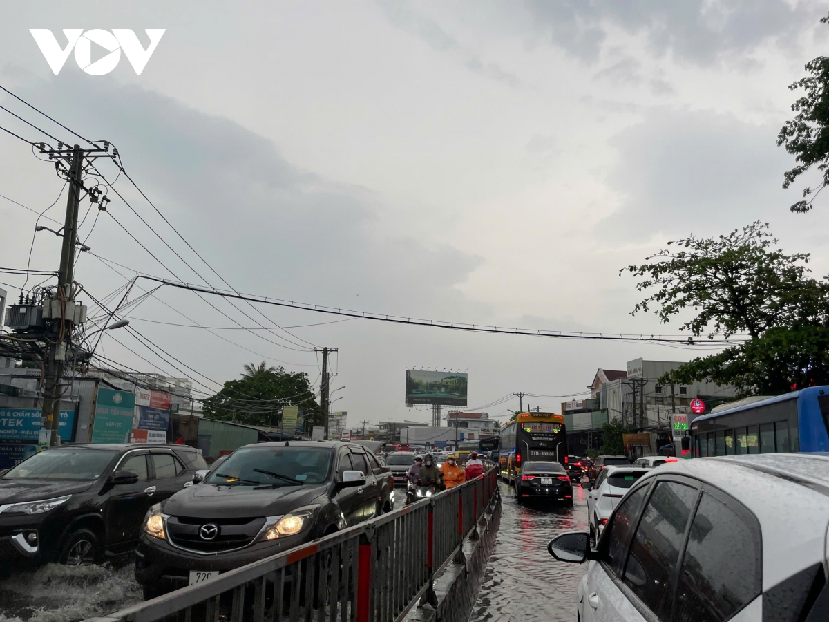 mua giai nhiet gay ngap cuc bo tai tp.hcm, nguoi di choi le bi gian doan hinh anh 2