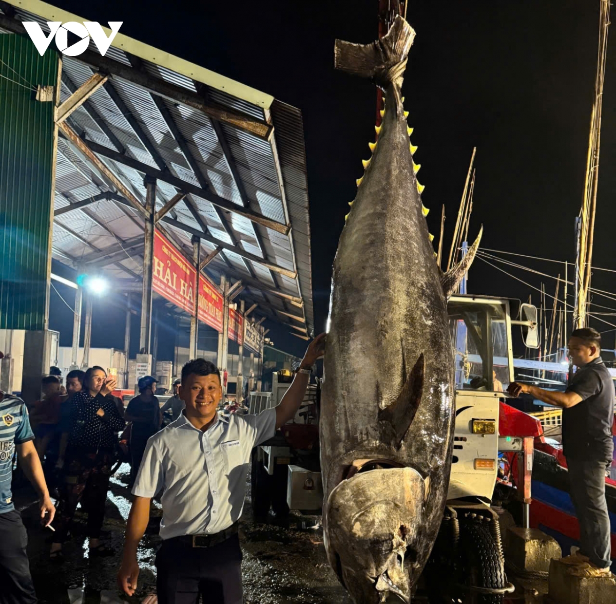ngu dan gia lai trung dam ca ngu, co con nang hon 300kg hinh anh 4