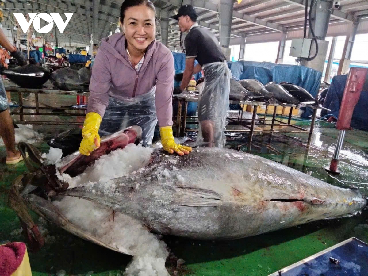 ngu dan gia lai trung dam ca ngu, co con nang hon 300kg hinh anh 5