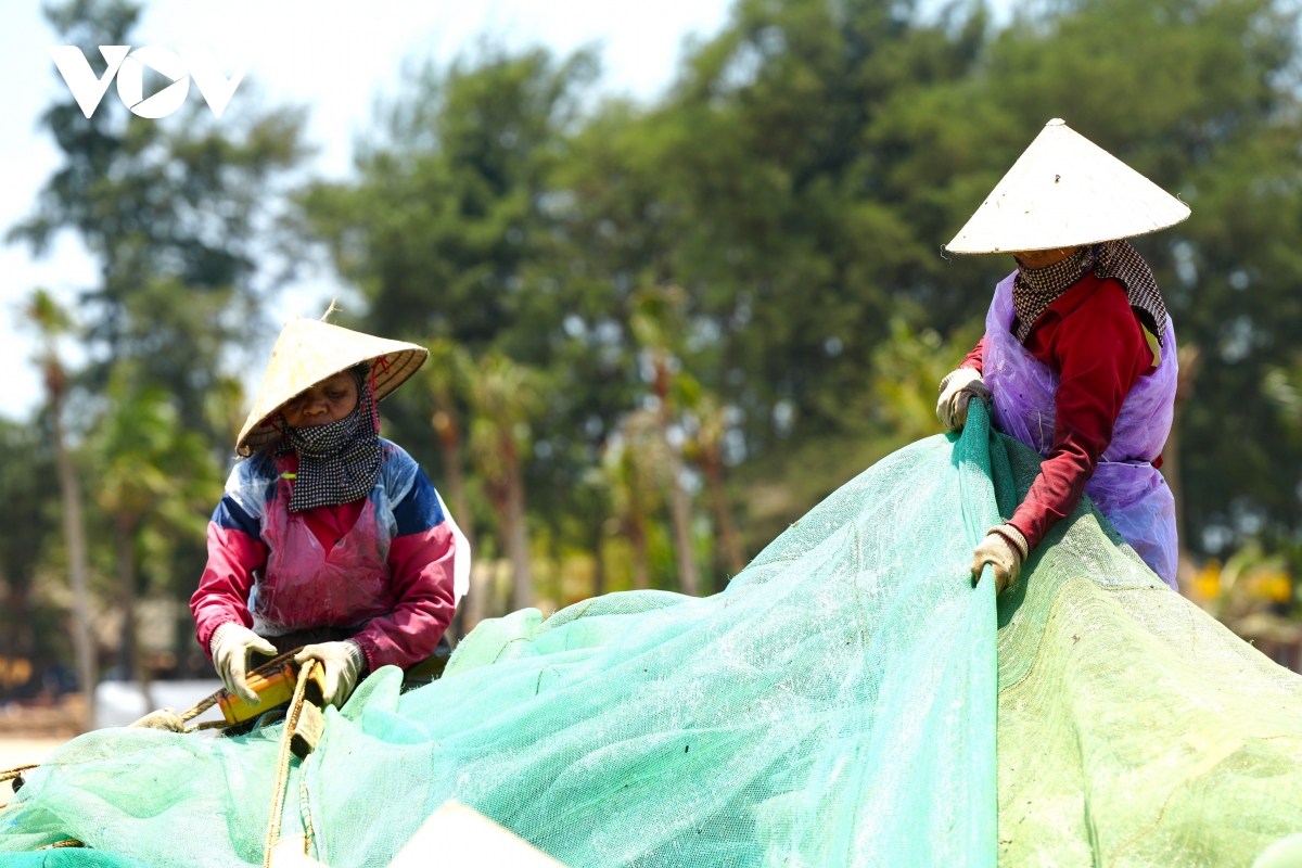 canh nhon nhip keo luoi cua ngu dan thanh hoa tom ca vua cap bo da chay hang hinh anh 12