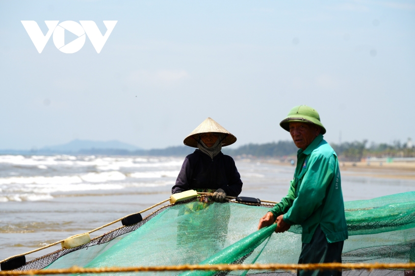 canh nhon nhip keo luoi cua ngu dan thanh hoa tom ca vua cap bo da chay hang hinh anh 6