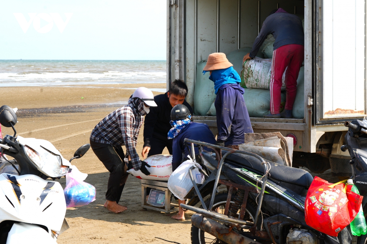 ngu dan cao giat o sam son muu sinh nhoc nhan, tien ve theo tung con song hinh anh 14