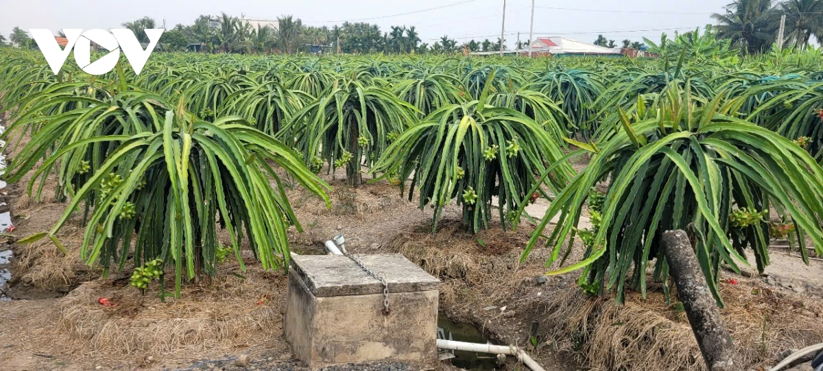 2 nguoi tai Dong thap tu vong do kich ca va so suat khi dung mo to bom nuoc hinh anh 1