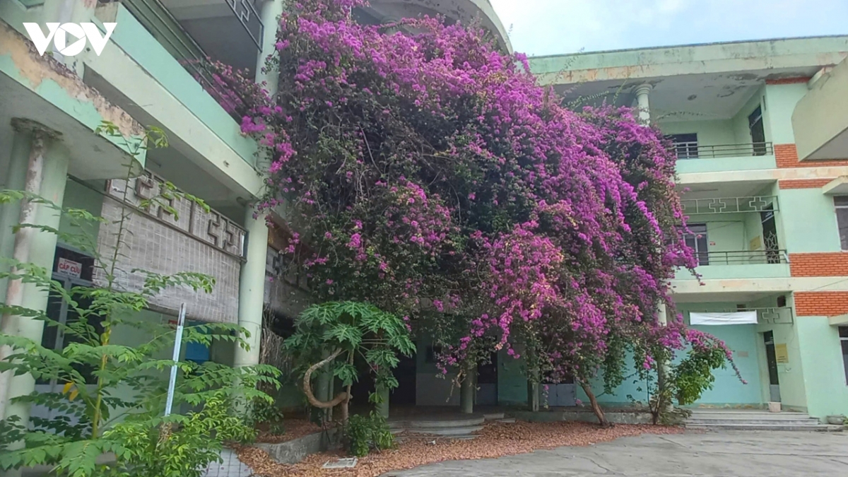 khanh hoa ra soat, sap xep tru so doi du khong de tai san cong bi lang phi hinh anh 3