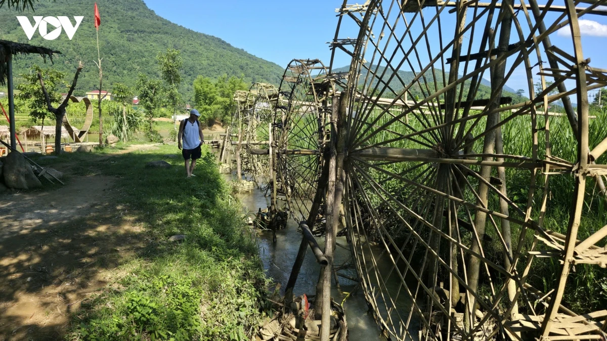 du khach dam minh giua ban lang pu luong binh yen mua lua chin hinh anh 15