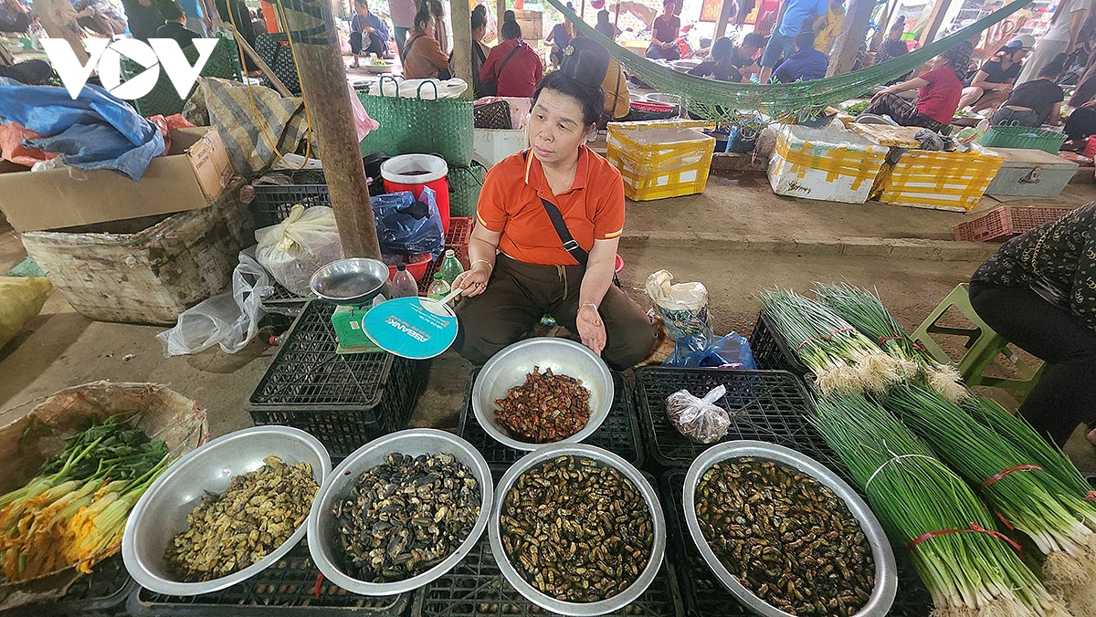 Doc dao cho con trung na si mon la niu chan du khach den voi tay bac hinh anh 3