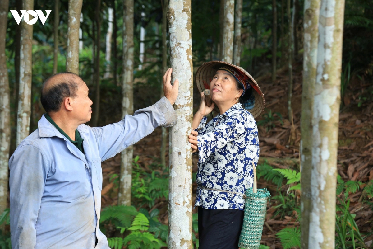 Dong bao vung cao lao cai lam theo loi bac, xay dung doi song am no, hanh phuc hinh anh 1