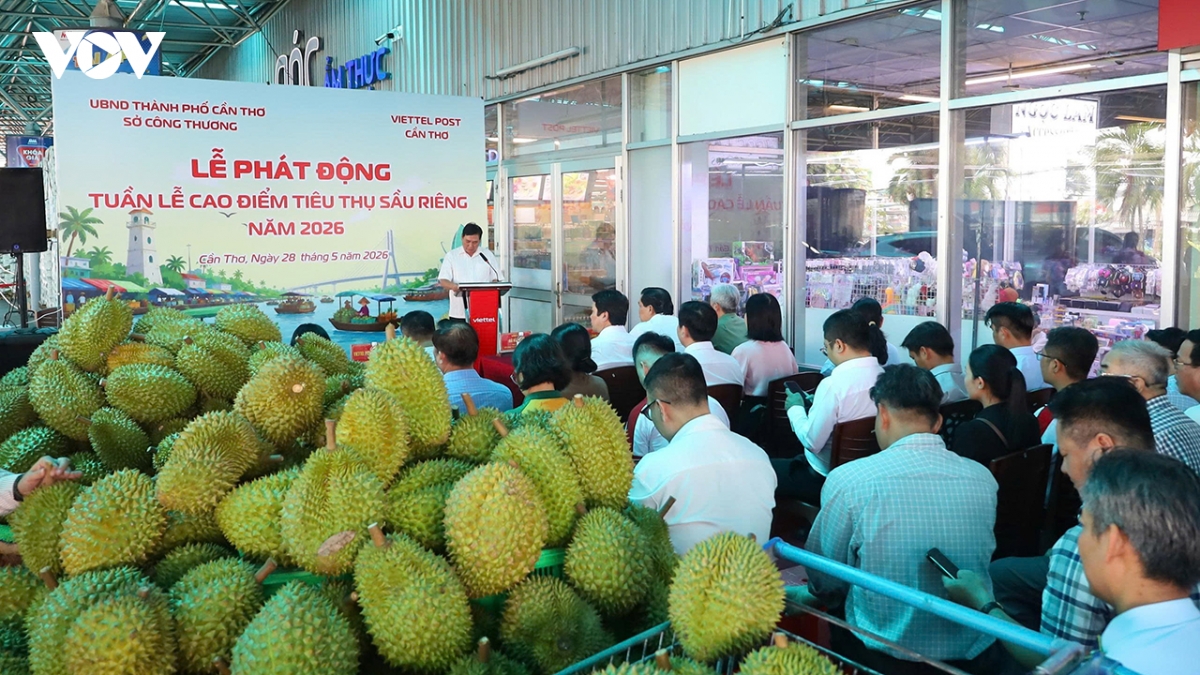can tho ho tro nong dan tieu thu hang chuc ngan tan sau rieng sap thu hoach hinh anh 1