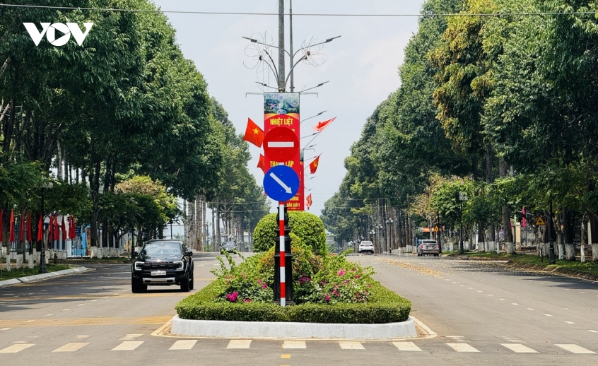 Dong nai giai toa un u xe container cho sau rieng tai dau giay hinh anh 3