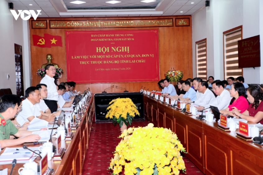 bo chinh tri kiem tra, giam sat viec thuc hien nhiem vu chinh tri tai lai chau hinh anh 2