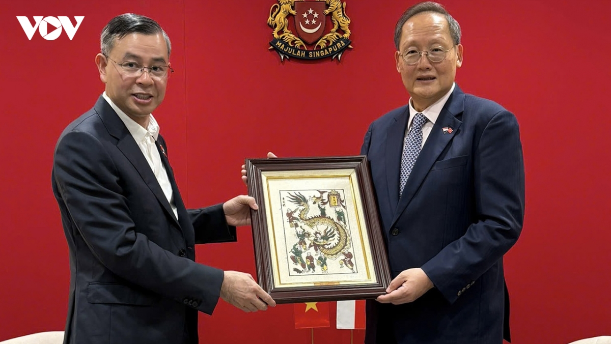 viet nam - singapore hop tac ve tai chinh, kinh te xanh va doi moi sang tao hinh anh 1
