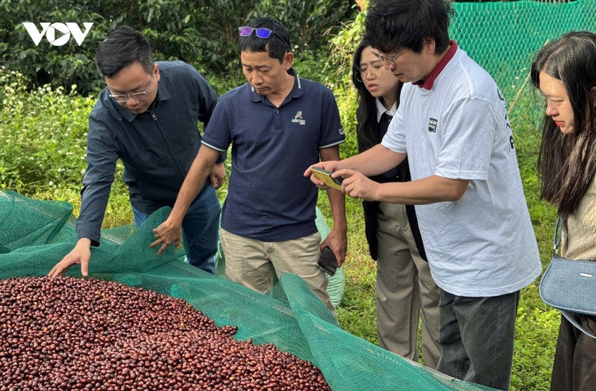 sps changes become new test for vietnam s agricultural exports picture 2