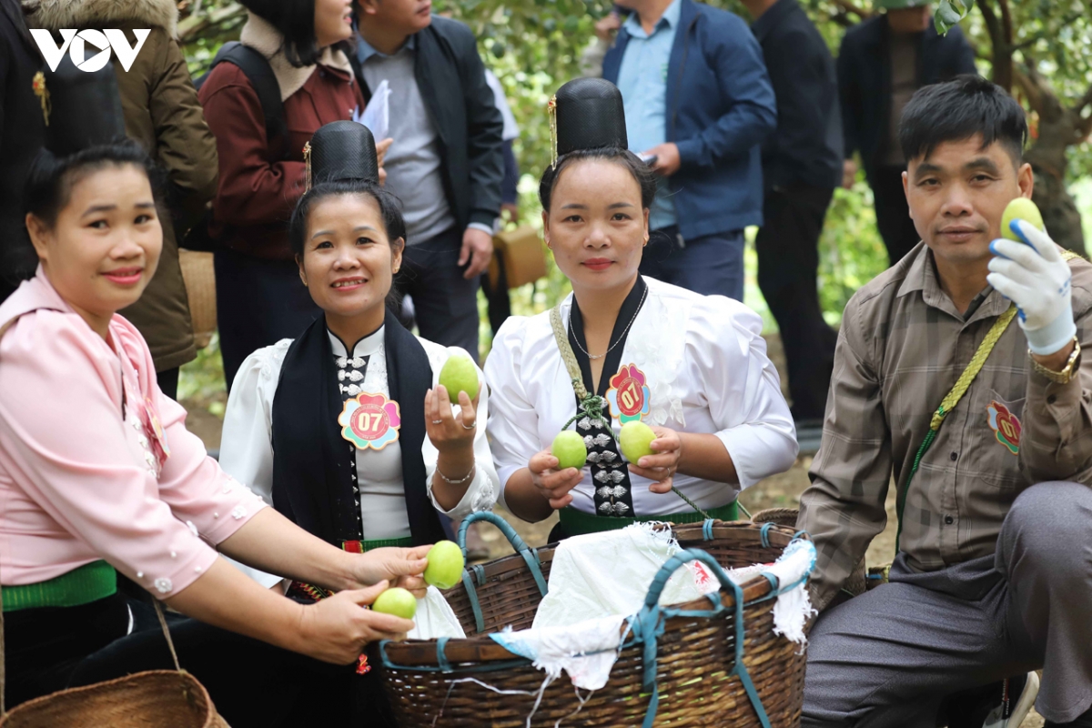 bi quyet doi doi cua nguoi dan muong bu son la hinh anh 4