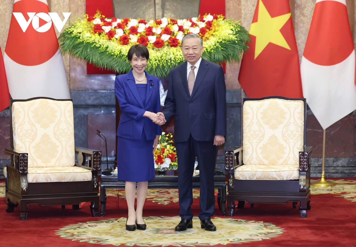 tong bi thu, chu tich nuoc to lam hoi kien thu tuong nhat ban hinh anh 1