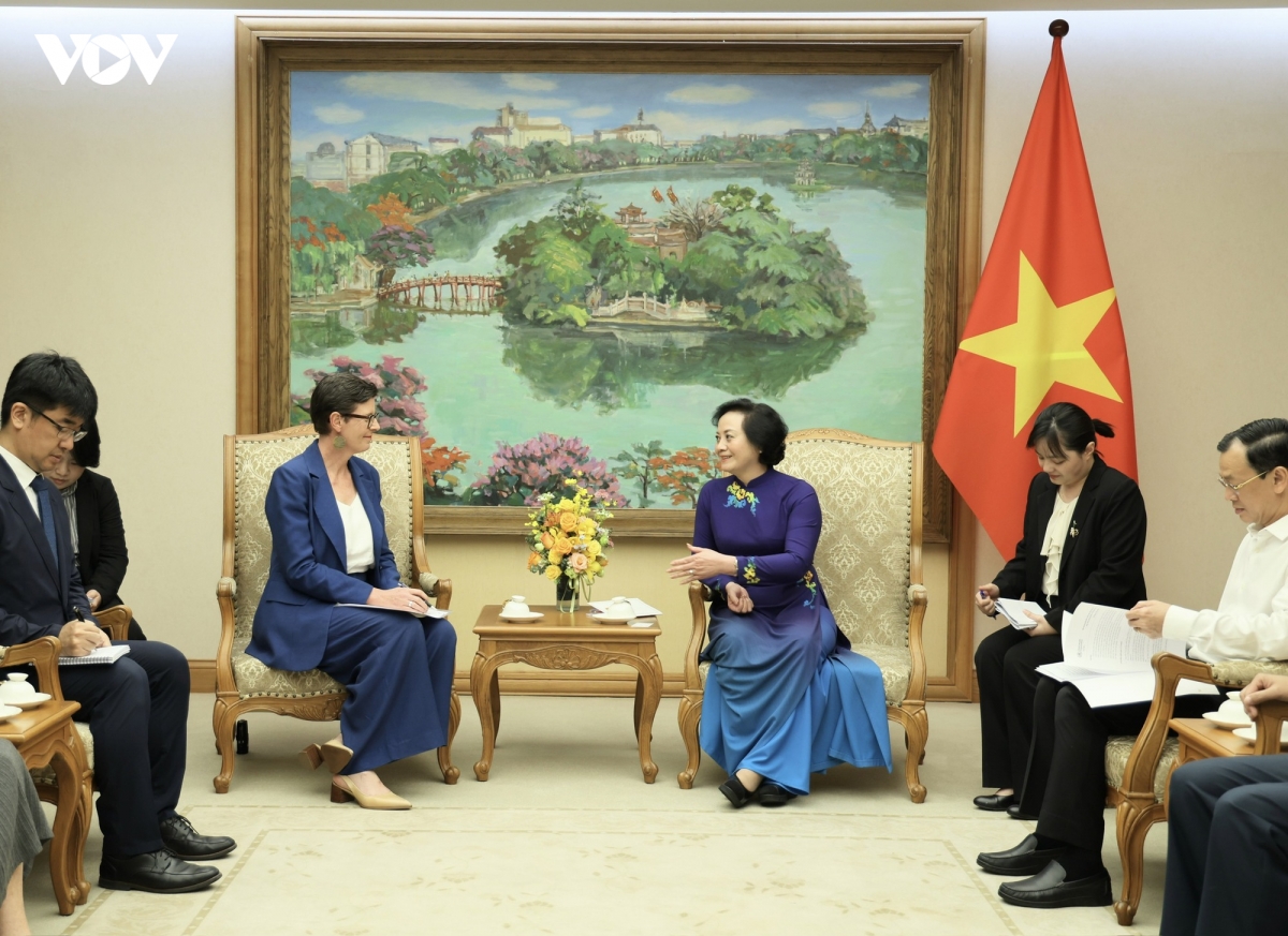 viet nam va who thuc day hop tac bao ve suc khoe nguoi dan, cong dong hinh anh 1