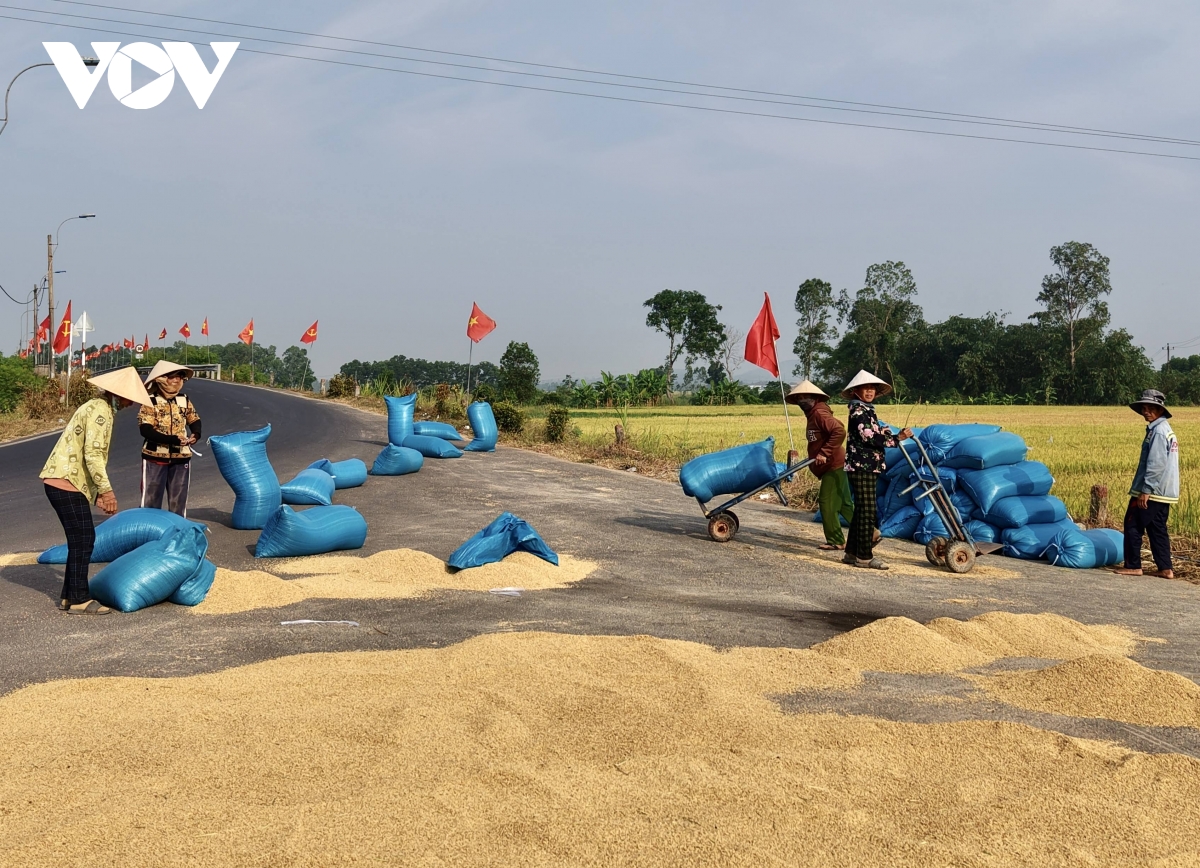  mua vang o vung ron lu Dak lak hinh anh 3