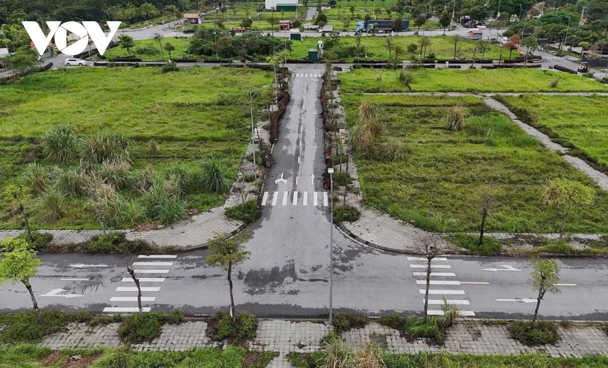 noi o moi cua nguoi dan di doi tu cau tu lien va tran hung Dao dang the nao hinh anh 4