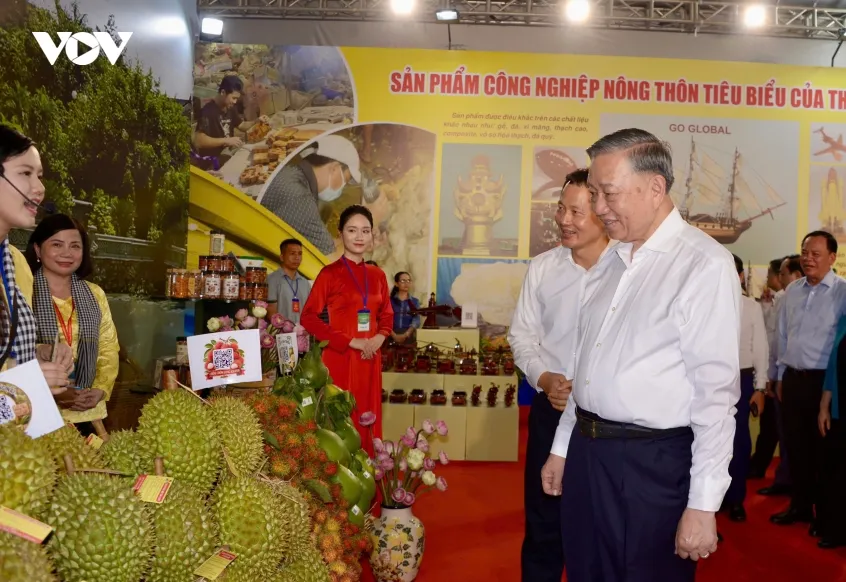 tong bi thu, chu tich nuoc to lam lam viec voi ban thuong vu thanh uy Dong nai hinh anh 8