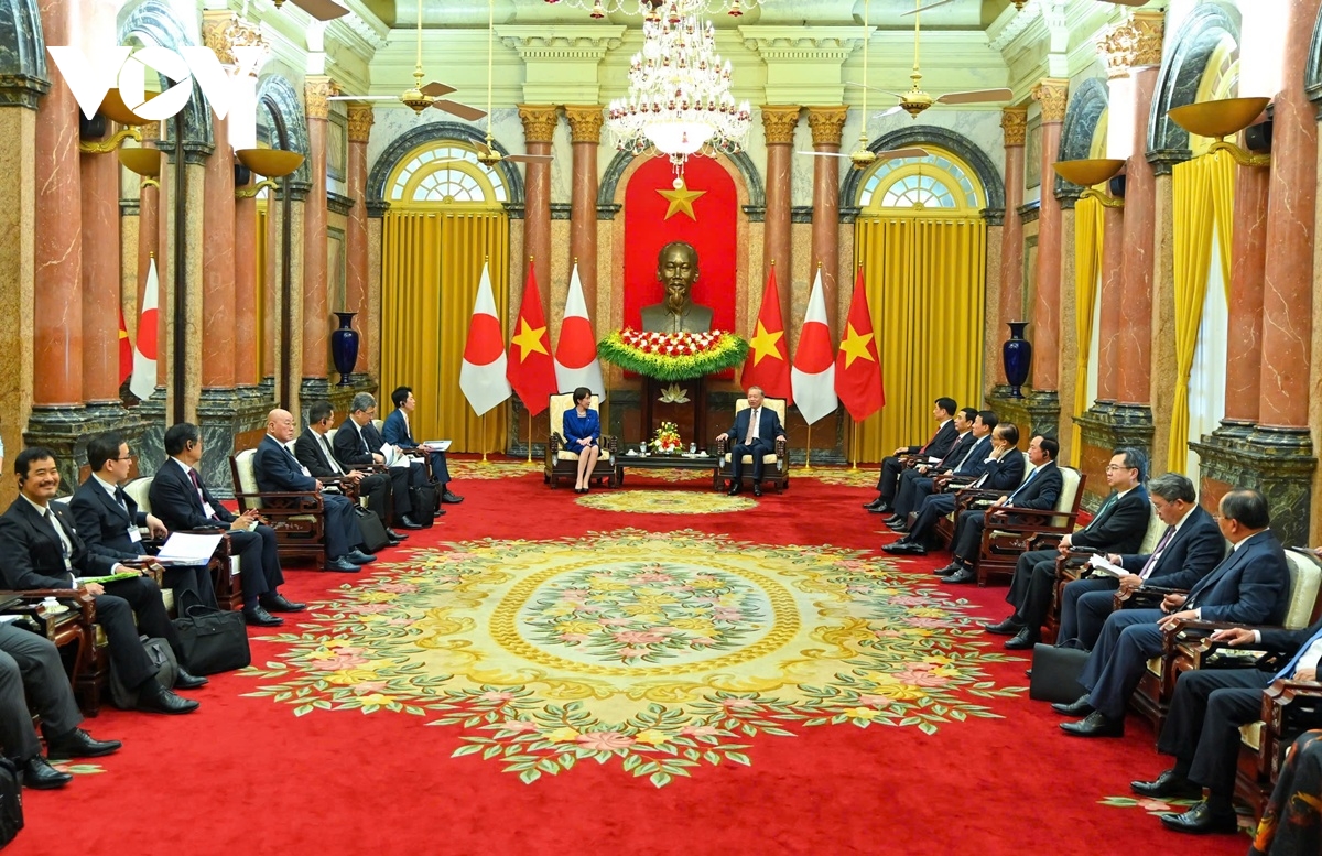 tong bi thu, chu tich nuoc to lam hoi kien thu tuong nhat ban hinh anh 2