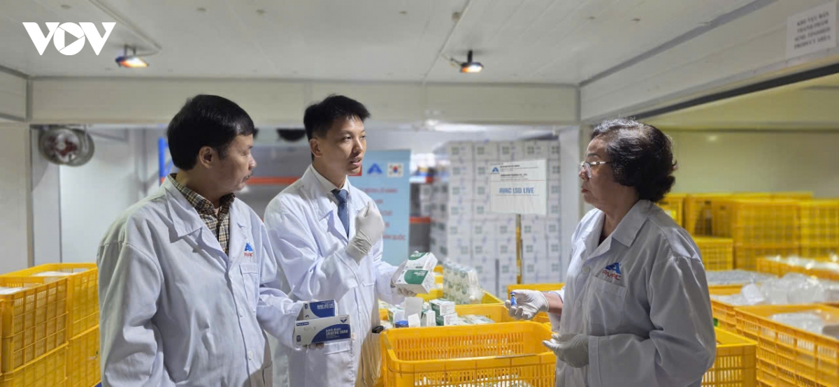 Việt Nam xuất khẩu 1,1 triệu liều vaccine viêm da nổi cục sang Hàn Quốc