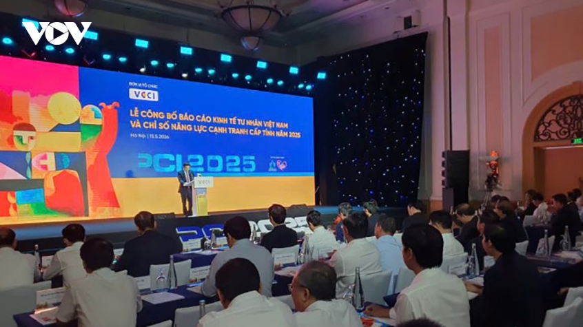 vcci cong bo pci 2025 khu vuc tu nhan san sang but pha hinh anh 1