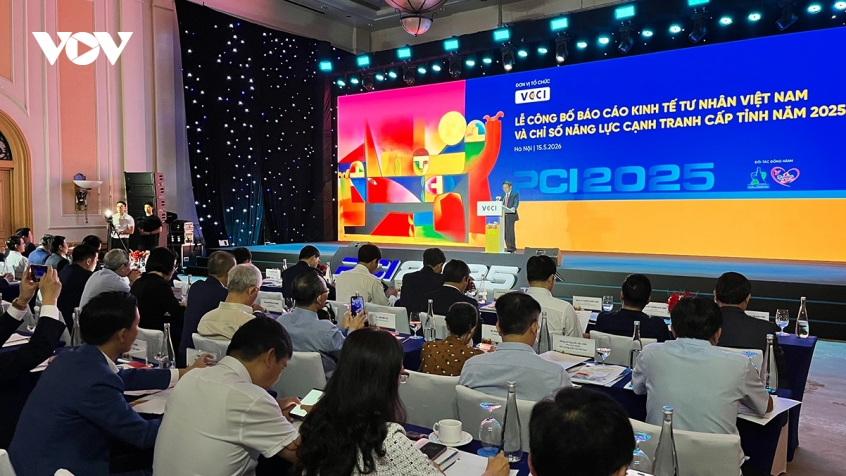 vietnam launches first-ever index measuring private sector s health picture 2