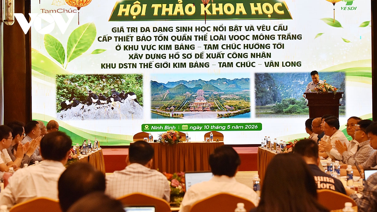  cau ket noi sinh canh chien luoc bao ton vooc mong trang va phat trien du lich hinh anh 4