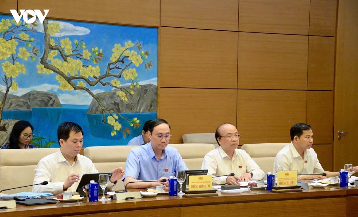 chu tich quoc hoi tran thanh man lam viec voi thuong truc Uy ban cong tac dai bieu hinh anh 4